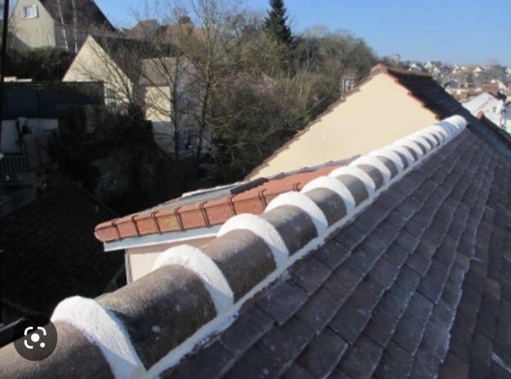 Nettoyer la toiture d’une maison Freyming-Merlebach