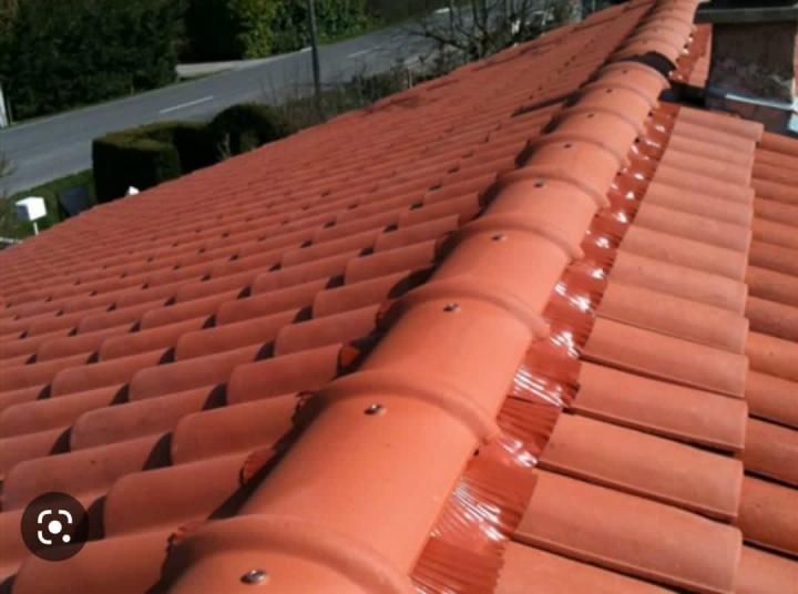 Nettoyer la toiture d’une maison Freyming-Merlebach