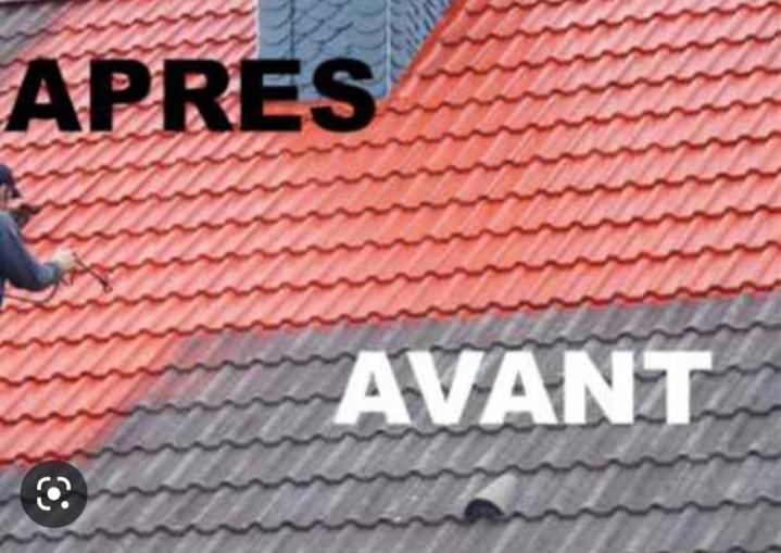 Nettoyer la toiture d’une maison Freyming-Merlebach