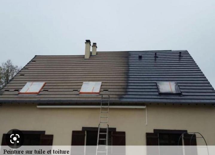 Nettoyer la toiture d’une maison Freyming-Merlebach