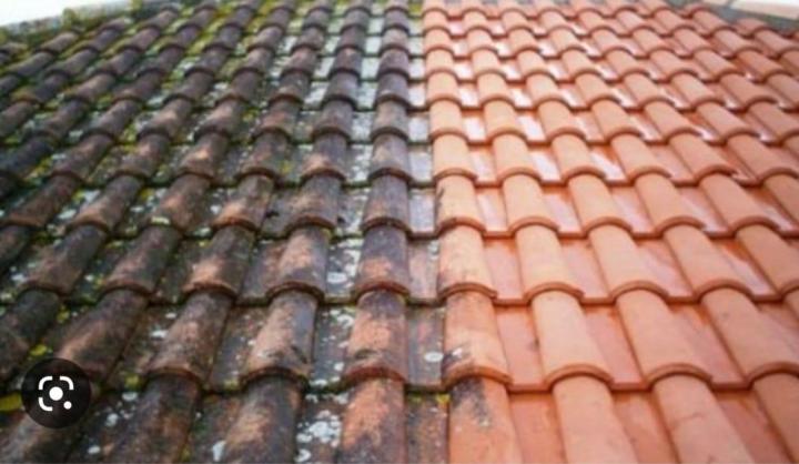 Nettoyage toiture Freyming-Merlebach