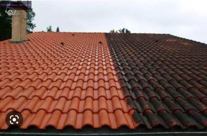 Nettoyer la toiture d’une maison Freyming-Merlebach